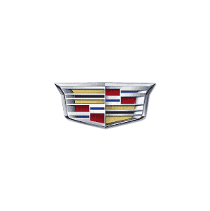 Cadillac car detailing