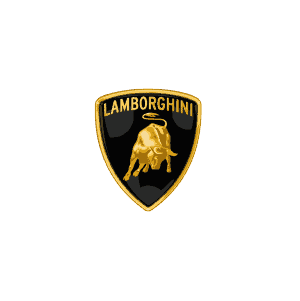 Lamborghini car detailing