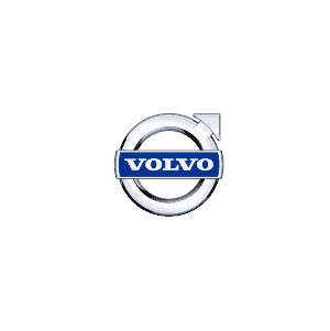 Volvo car detailing